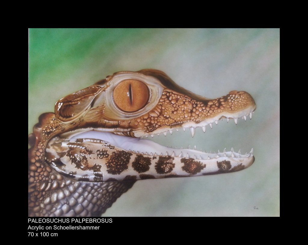Paleosuchus-Palpebrosus.jpg